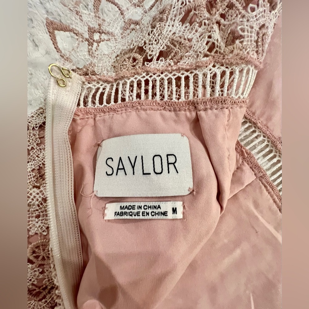 SAYLOR Lillie Lace Illusion Dress 
Illusion Neckline/Open Back 
MED 
BLUSH/IVORY - Picture 4 of 16